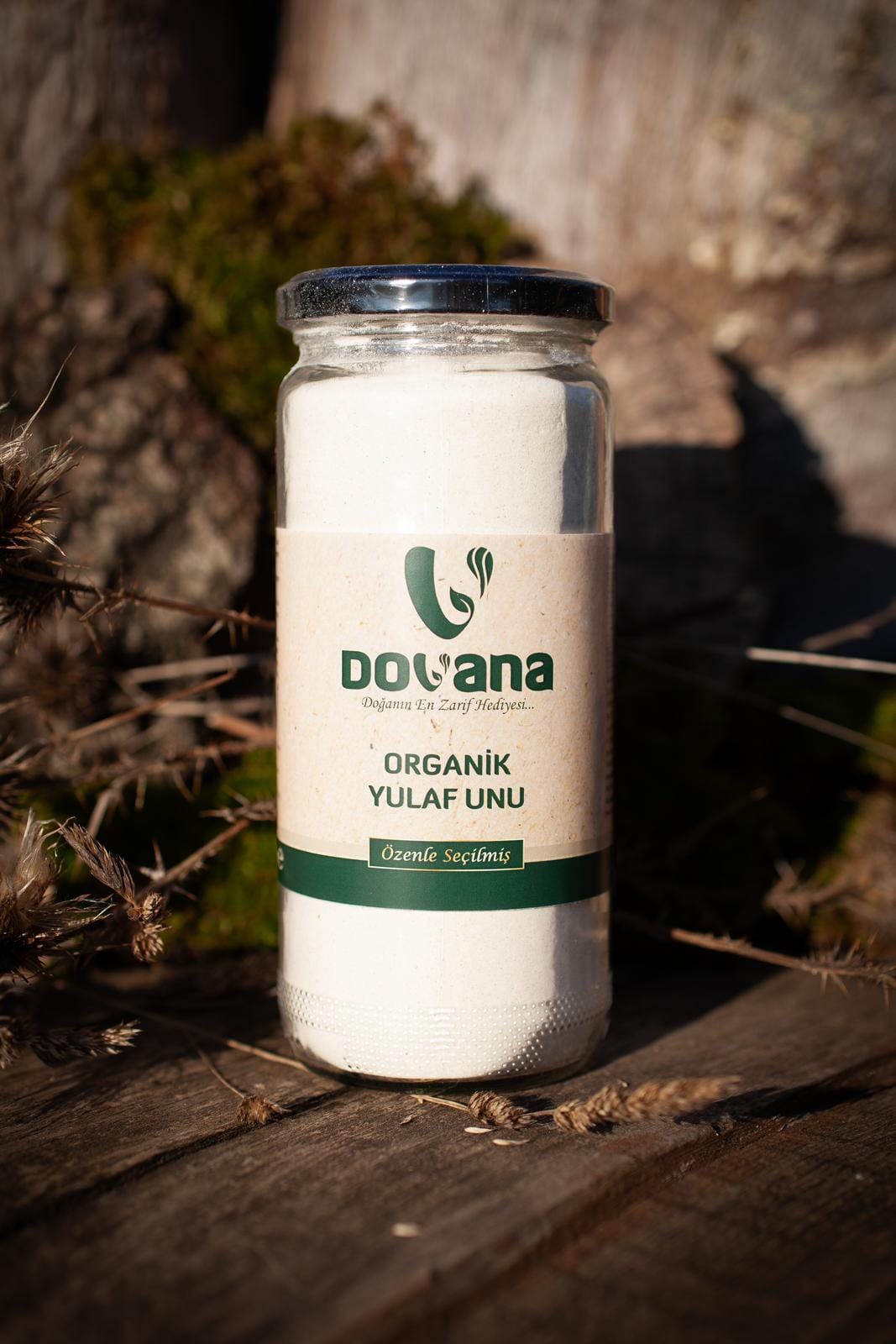 Dovana Ek Gıda Keşif Kutusu - Görsel 2