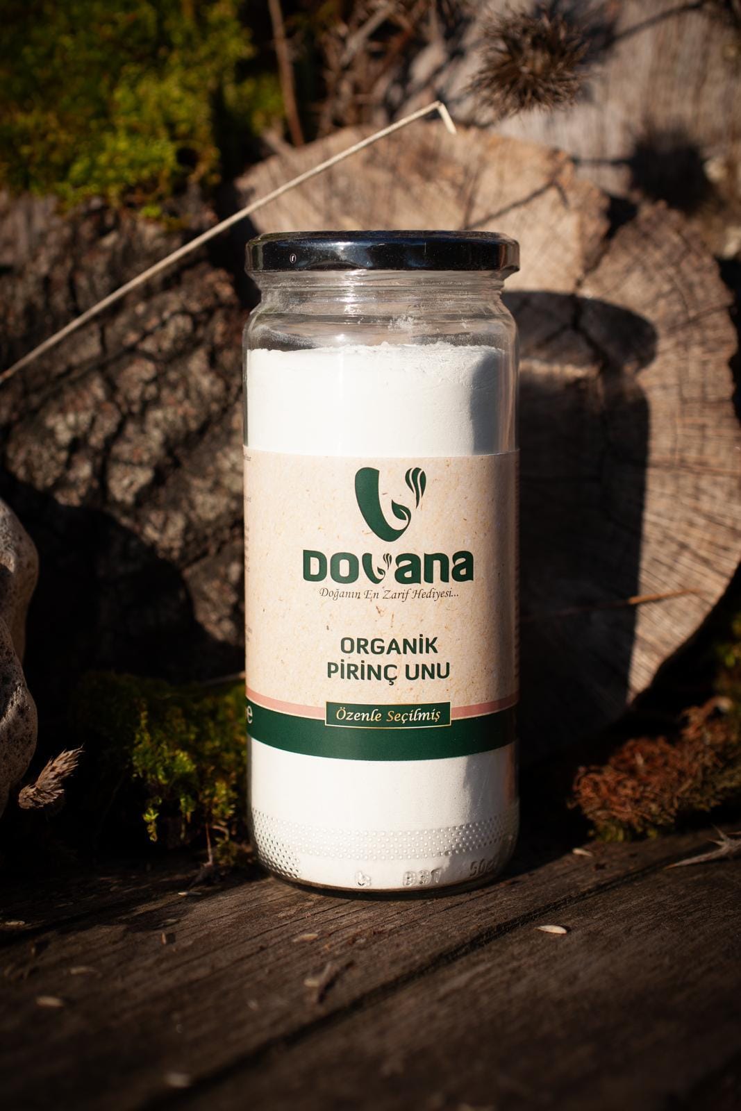 Dovana Ek Gıda Keşif Kutusu - Görsel 9