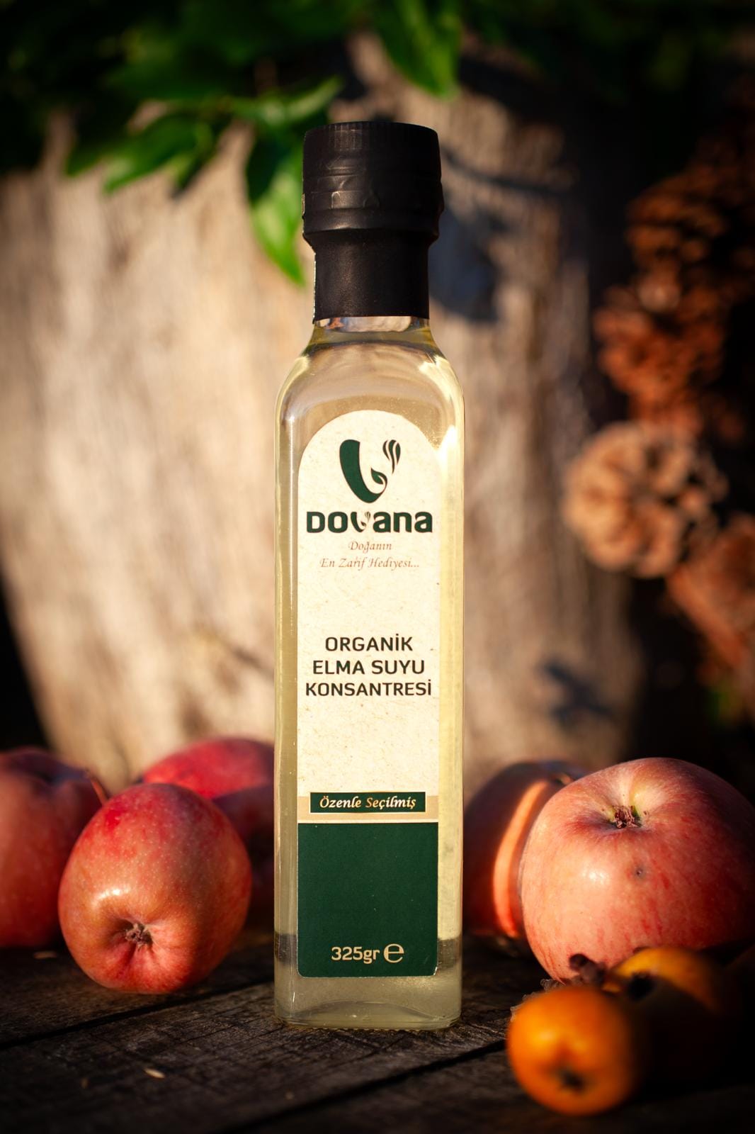 Dovana Ek Gıda Keşif Kutusu - Görsel 14