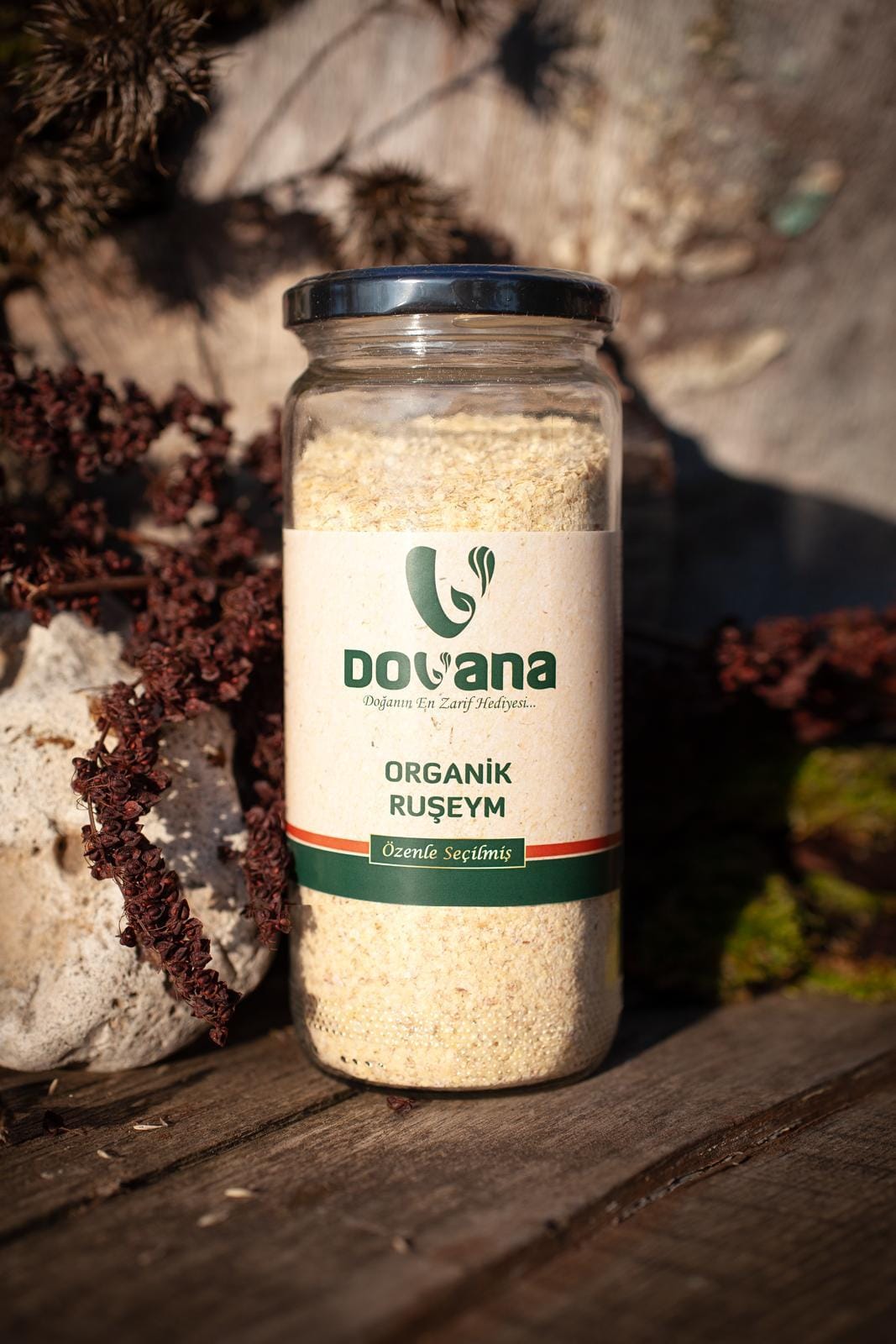 Dovana Ek Gıda Keşif Kutusu - Görsel 7