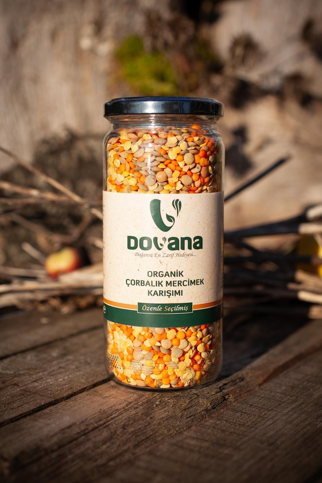 Dovana Ek Gıda Keşif Kutusu - Görsel 12