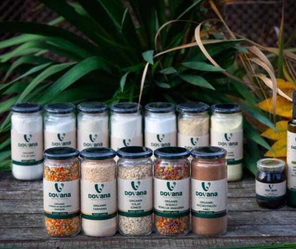 dovana-ek-gida-ilk-tatlar