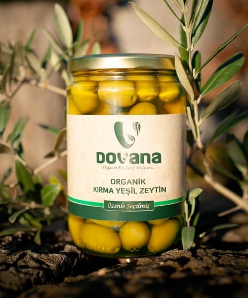 Organik Kırma Yeşil Zeytin - Görsel 2