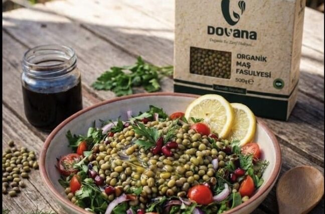 💚 Maş Fasulyesi: Küçük Tanelerde Büyük Dengeler