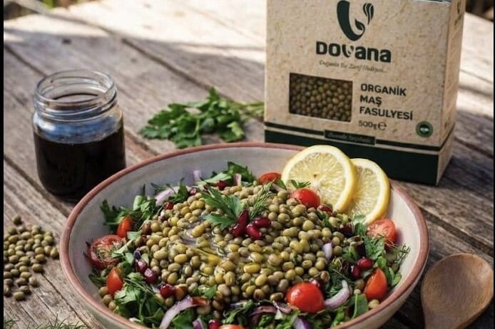 💚 Maş Fasulyesi: Küçük Tanelerde Büyük Dengeler