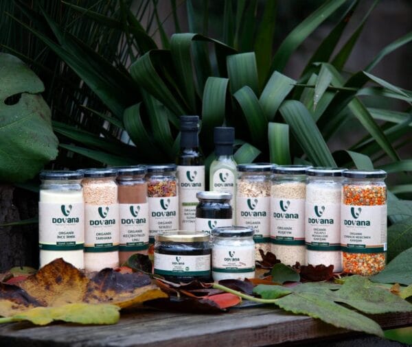 dovana-ek-gida-minik-ogunler