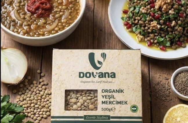 🌿 Yeşil Mercimek: Toprağın Dingin Gücü