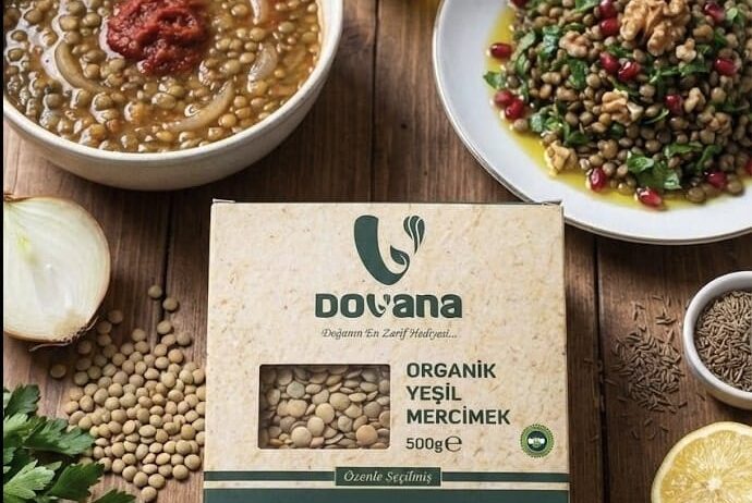 🌿 Yeşil Mercimek: Toprağın Dingin Gücü