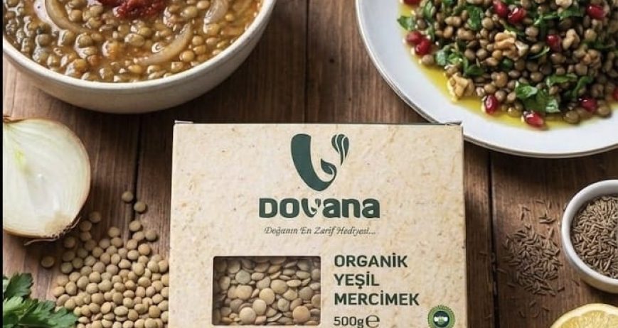 🌿 Yeşil Mercimek: Toprağın Dingin Gücü
